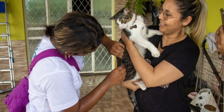Vacinação antirrábica chega a 15 comunidades ribeirinhas do rio Negro