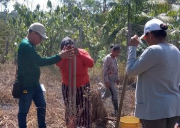 Senar capacita 359 produtores rurais nos municípios do AM