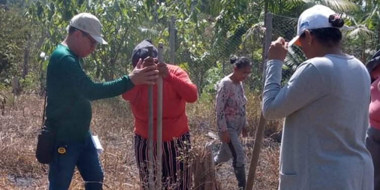 Senar capacita 359 produtores rurais nos municípios do AM