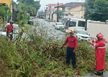 Vídeos temporal derruba árvores, rompe fios e causa transtornos em Manaus