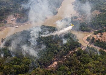 Governo Federal mobiliza 253 profissionais no combate a incêndios no Amazonas
