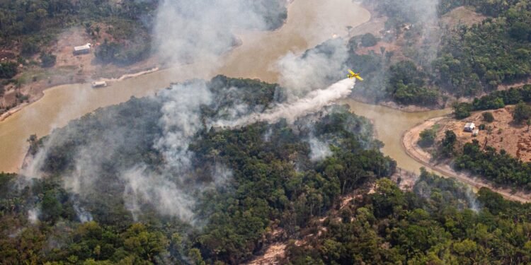 Governo Federal mobiliza 253 profissionais no combate a incêndios no Amazonas