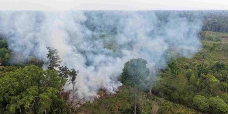 Ipaam multa proprietário de terreno em R$ 15 mil após flagrante de queimada no Careiro