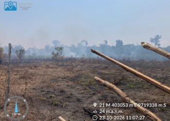 Homem é preso em flagrante por provocar incêndio florestal em São Sebastião do Uatumã