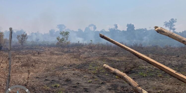 Homem é preso em flagrante por provocar incêndio florestal em São Sebastião do Uatumã