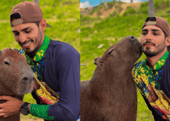 capivara (1)