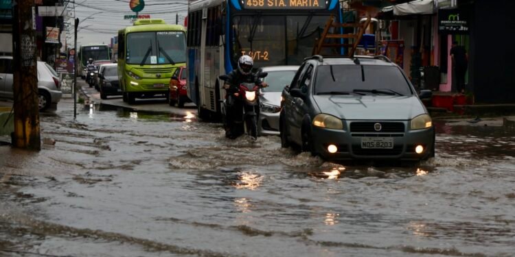 Chuva alaga avenida no Manoa e moradores cobram solução para prejuízos