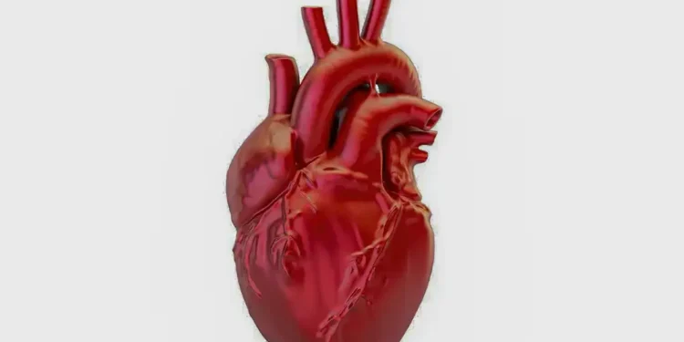 A cada 72 segundos, uma pessoa morre por doença cardiovascular no país