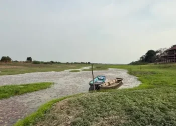 Amazonas tem 46 municípios em situação de emergência por conta da estiagem