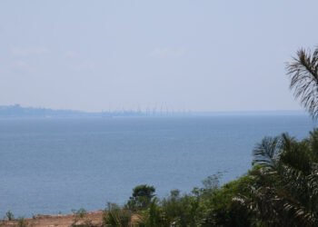fumaça (2)
