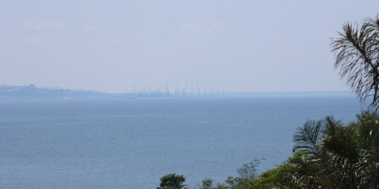 fumaça (2)