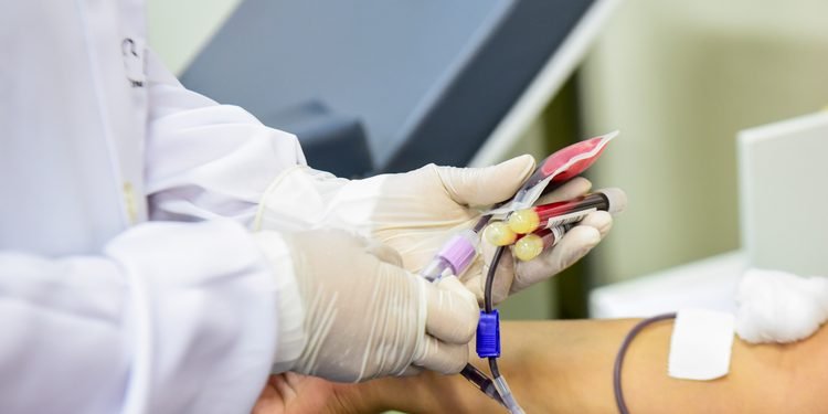 Hemoam registra queda de 40% nas doações e promove campanha para reforçar estoques de sangue em Manaus