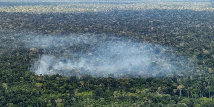 Estudo aponta atividade humana nas emissões de carbono na Amazônia