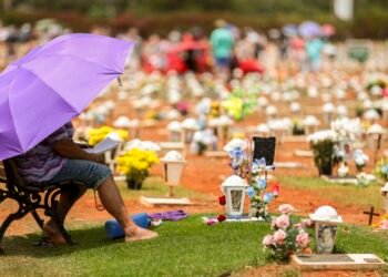 Finados, Proclamação e Consciência Negra: confira feriados nacionais de novembro