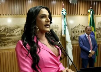 População trans amplia representação no Poder Legislativo