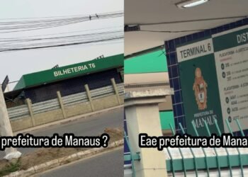 terminal6