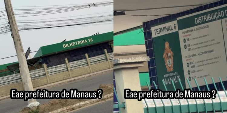 terminal6