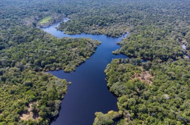 Desmatamento lidera investigações de crimes ambientais no Amazonas, aponta estudo - (Foto: Luiz André Nascimento/Rios de Notícias)