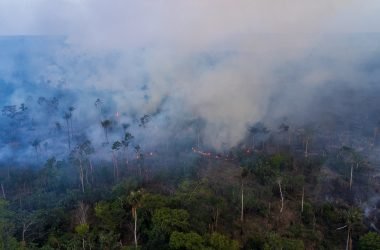 Ministro anuncia investigação sobre suspeita de ação coordenada em incêndios no Amazonas - (Foto: Luiz André Nascimento/Rios de Notícias)