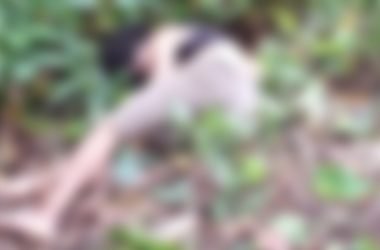 Corpo de jovem é encontrado em área de mata na zona Centro-Oeste