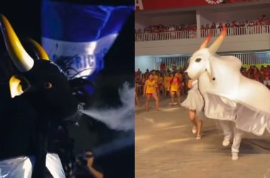 FESTIVAL DE PARINTINS
