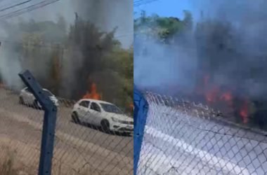 Incêndio se espalha por área de vegetação no Distrito Industrial, em Manaus - (Fotos: Reprodução/ Redes sociais)
