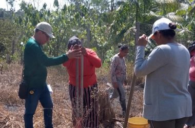 Senar capacita 359 produtores rurais nos municípios do AM