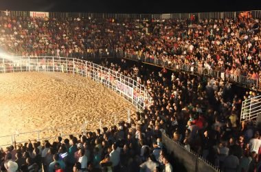MPAM pede à Justiça suspensão de gastos com Agropec 2026 em Careiro por atraso no pagamento de servidores - (Foto: Divulgação/MPAM)