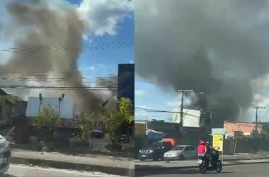 Incêndio atinge área de mata na zona Norte de Manaus - (Foto: Reprodução/ Redes sociais)