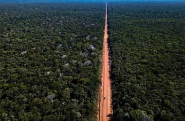 DNIT homologa contrato de R$ 402 milhões com empresa para asfaltar trecho da BR-319 - (Foto: Rpeordução/Dnit)