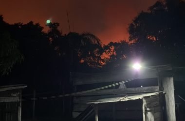 Incêndio avança em área de mata e deixa comunidades em alerta em Manacapuru - (Foto: Reprodução/ Redes sociais)