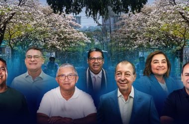 Neste Dia da àrvore, o Portal Rios de Notícias mostrar quais propostas os candidatos ao Governo trazem para esta área. (Arte: Abraão Torres/Rios de Notícias)