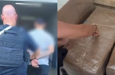 caso zona norte skunk