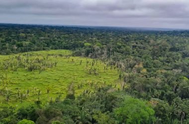 Imazon aponta desmatamento zero em 60% de terras indígenas na Amazônia - (Foto: Polícia Federal/Gov.Br)