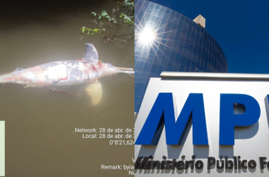Dois botos são encontrados morto no rio da região entre abril e maio deste ano - (Foto: Reprodução/Internet)