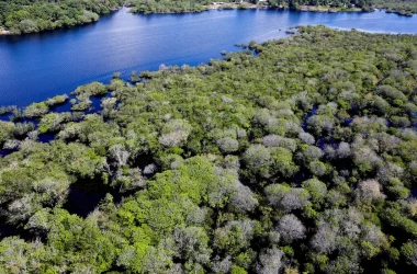 Alertas de desmatamento na Amazônia caem 35% em junho de 2026 - (Foto: Reprodução/Agência Brasil)